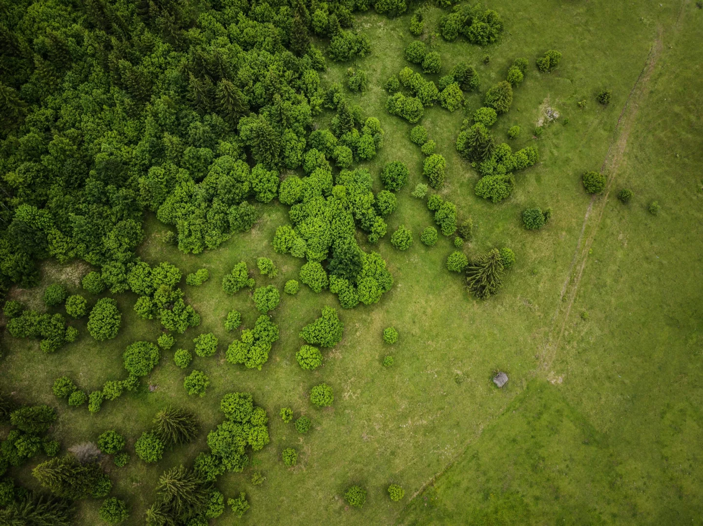 Vedere aeriană — hodăi și fânețe