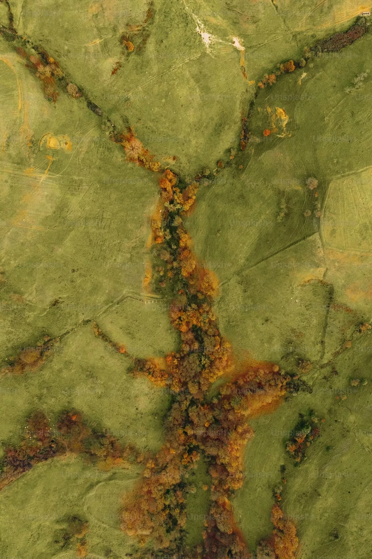 Pajiște cu pâraie — vedere aeriană